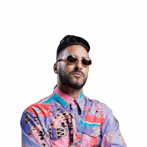 Armand van Helden